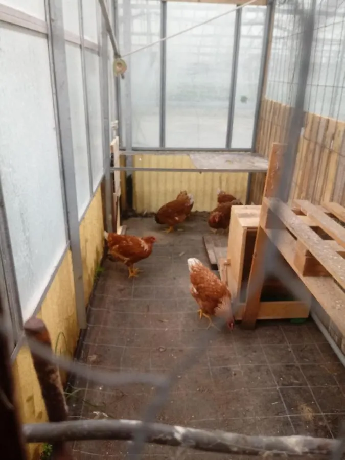 Vakantieboerderij Agriturismo Alla Mal Parata Albenga
